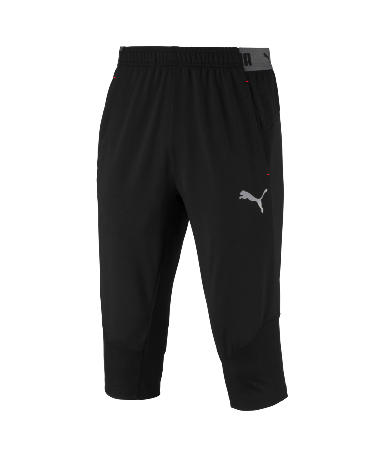 puma ftblnxt pants