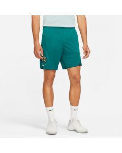 Nike Club América Academy Pro Men's Knit Shorts