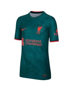 Nike Liverpool FC 3rd Jersey Youth 2022/23