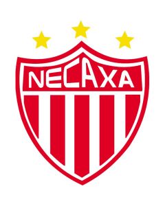 Necaxa Flag 3X5