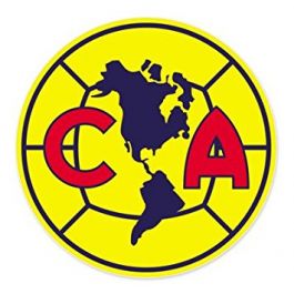 Club America Flag